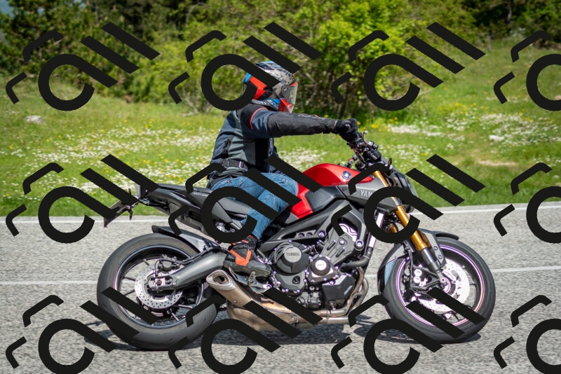 202505181110-DSC_8068_c2