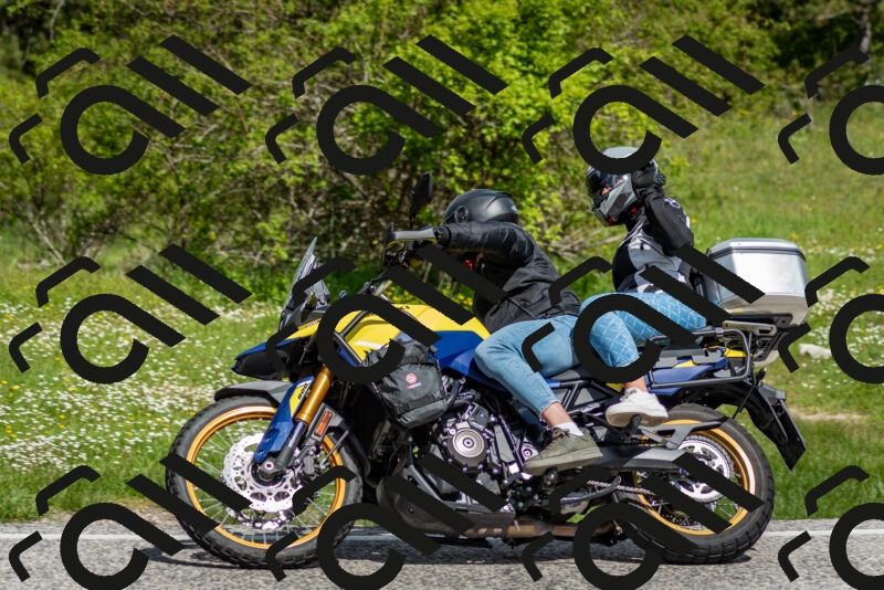 202505181110-DSC_8069_c2