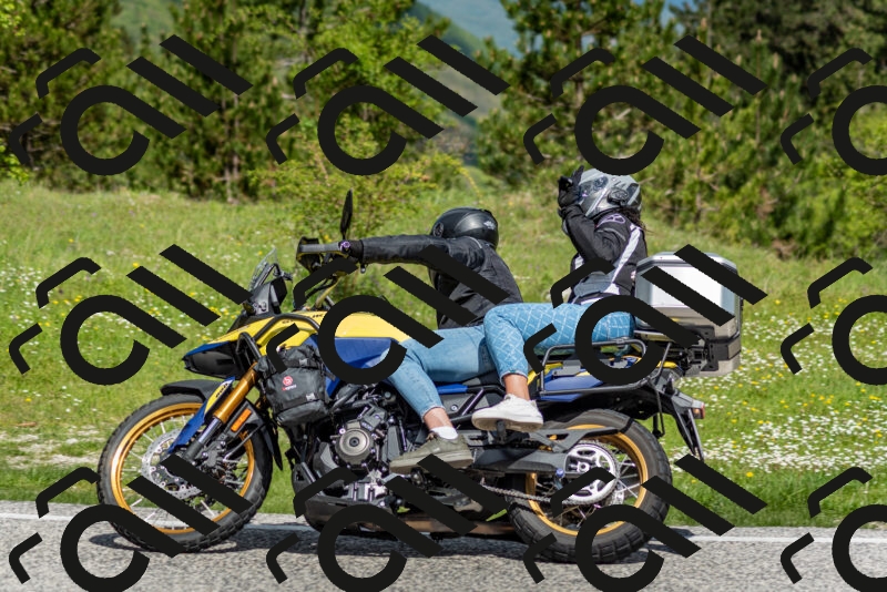 202505181110-DSC_8070_c2