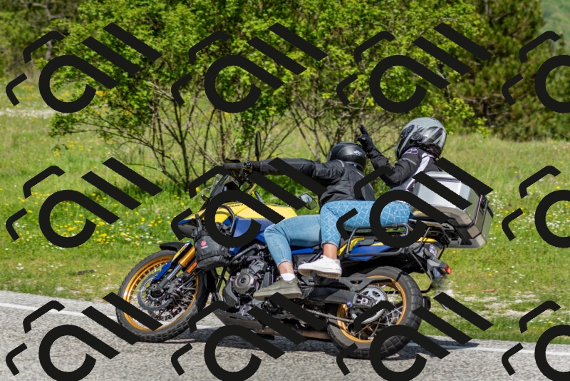 202505181110-DSC_8071_c2