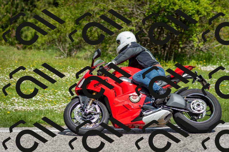 202505181110-DSC_8079_c2