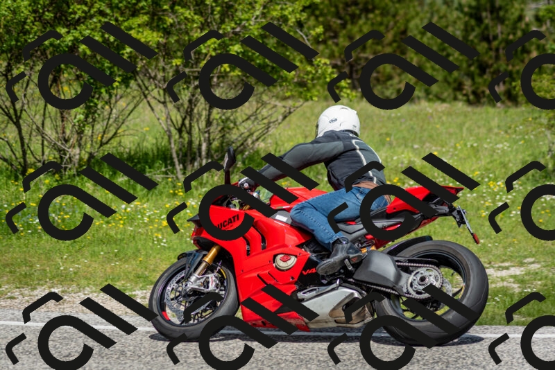 202505181110-DSC_8080_c2