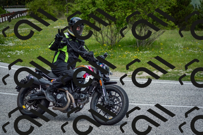 202505181112-DSC_8100_c2