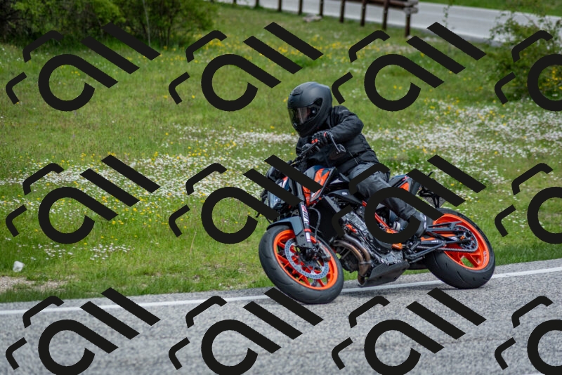 202505181113-DSC_8107_c2