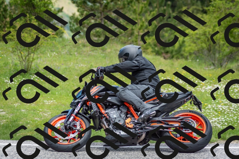 202505181113-DSC_8108_c2