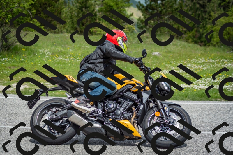 202505181113-DSC_8114_c2