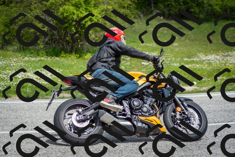 202505181113-DSC_8115_c2