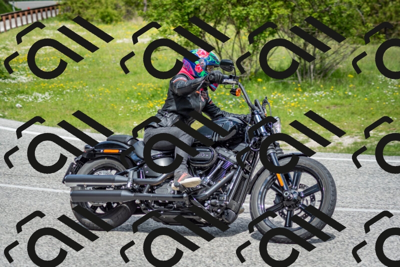 202505181113-DSC_8116_c2