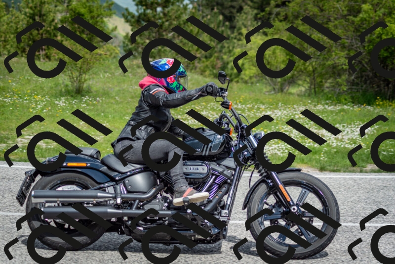 202505181113-DSC_8117_c2