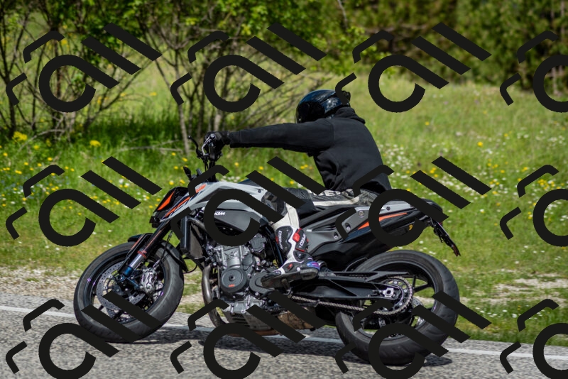 202505181113-DSC_8122_c2