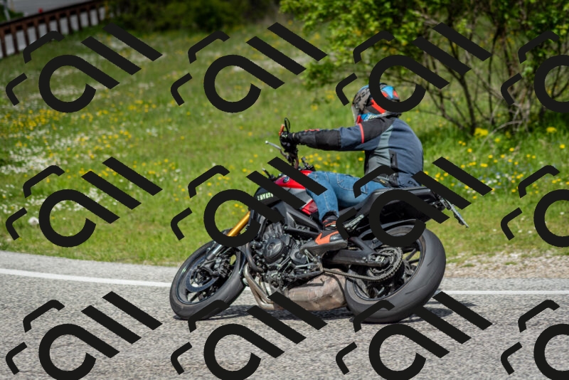 202505181113-DSC_8125_c2