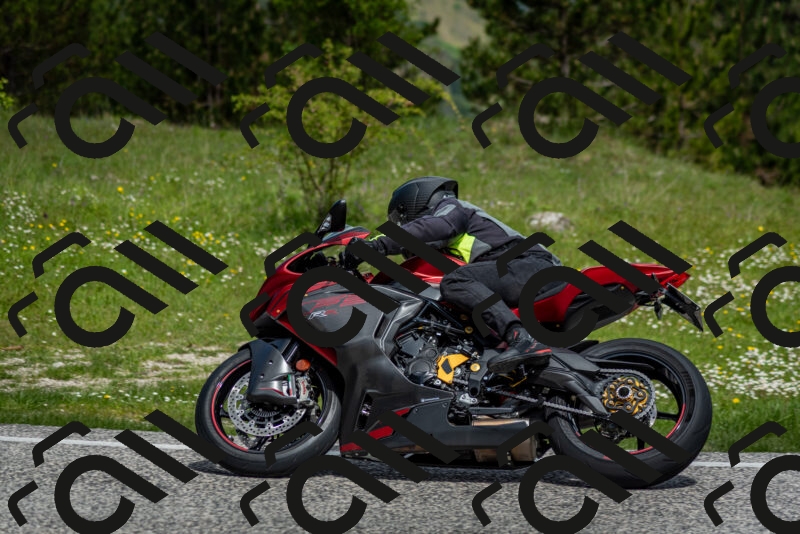 202505181113-DSC_8128_c2