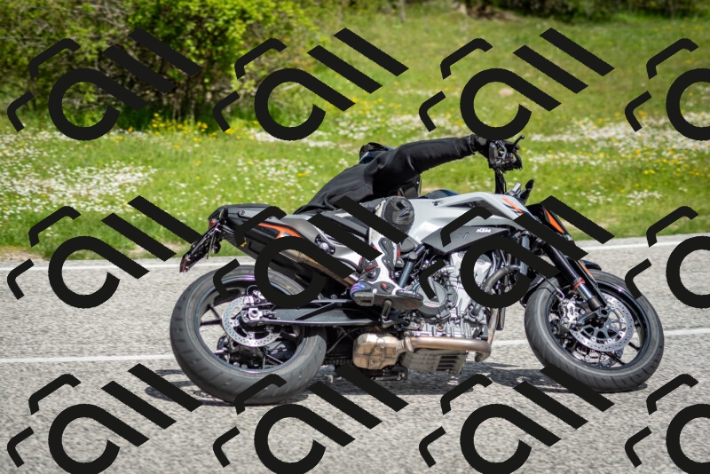 202505181114-DSC_8134_c2