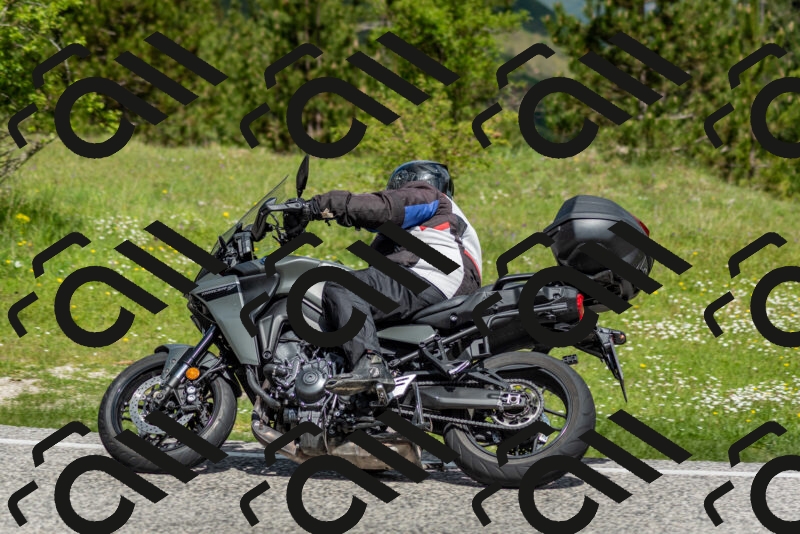 202505181114-DSC_8143_c2