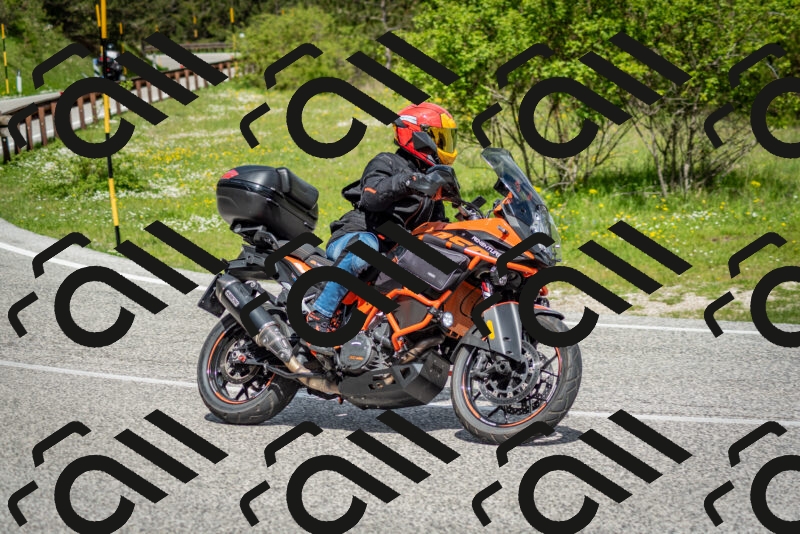 202505181115-DSC_8145_c2