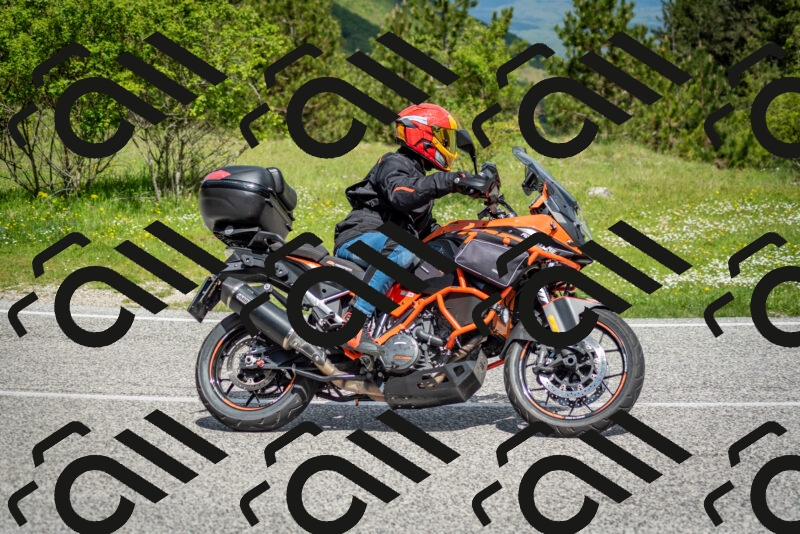 202505181115-DSC_8146_c2