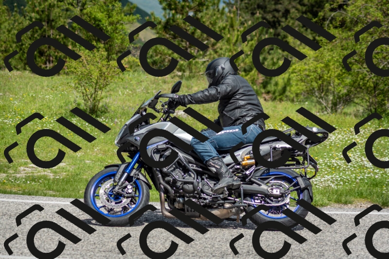 202505181115-DSC_8152_c2