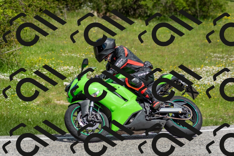 202505181115-DSC_8154_c2