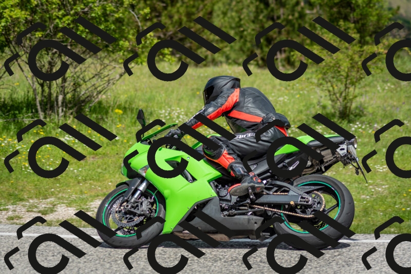 202505181115-DSC_8155_c2