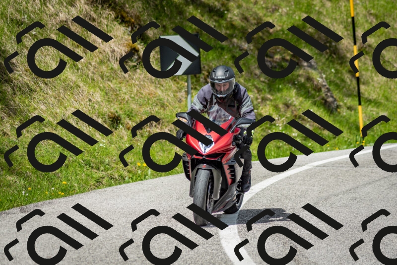 202505181115-DSC_8156_c2