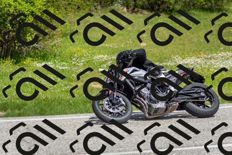 202505181115-DSC_8160_c2