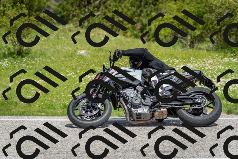 202505181115-DSC_8161_c2