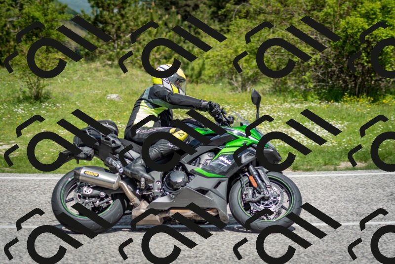 202505181116-DSC_8164_c2