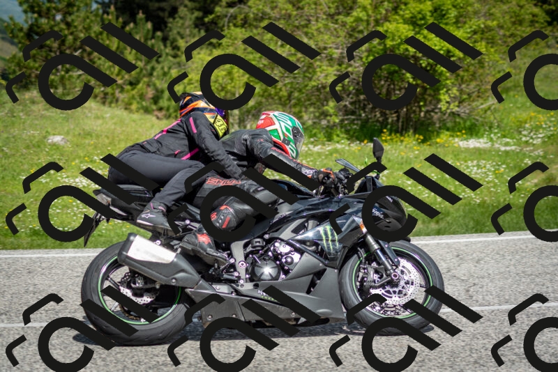 202505181116-DSC_8167_c2