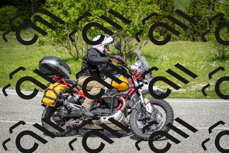 202505181116-DSC_8170_c2