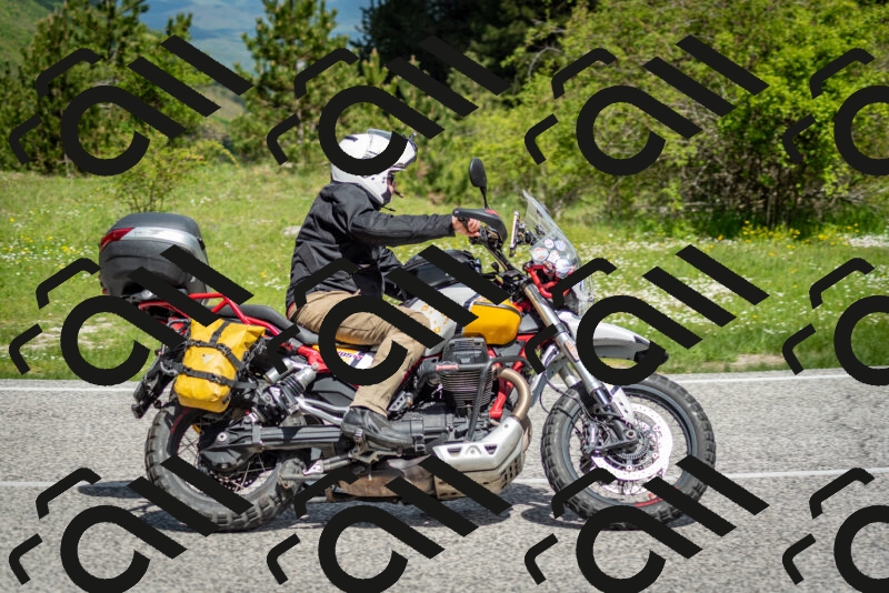 202505181116-DSC_8171_c2