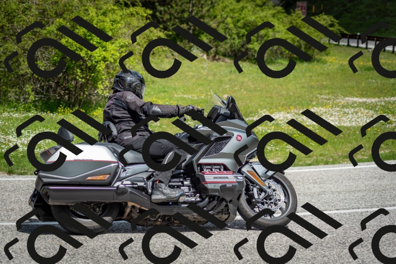 202505181116-DSC_8178_c2