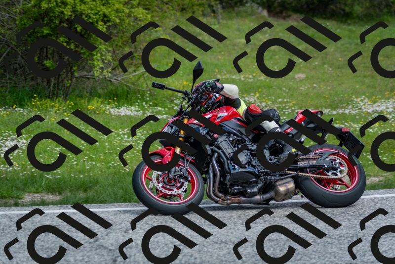 202505181116-DSC_8185_c2