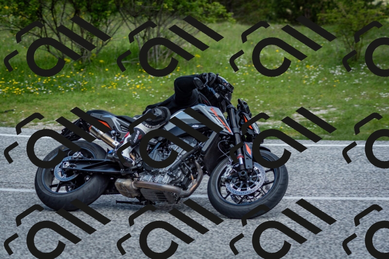 202505181117-DSC_8197_c2