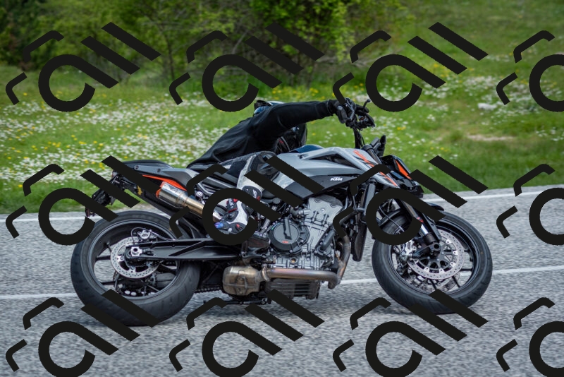 202505181117-DSC_8198_c2