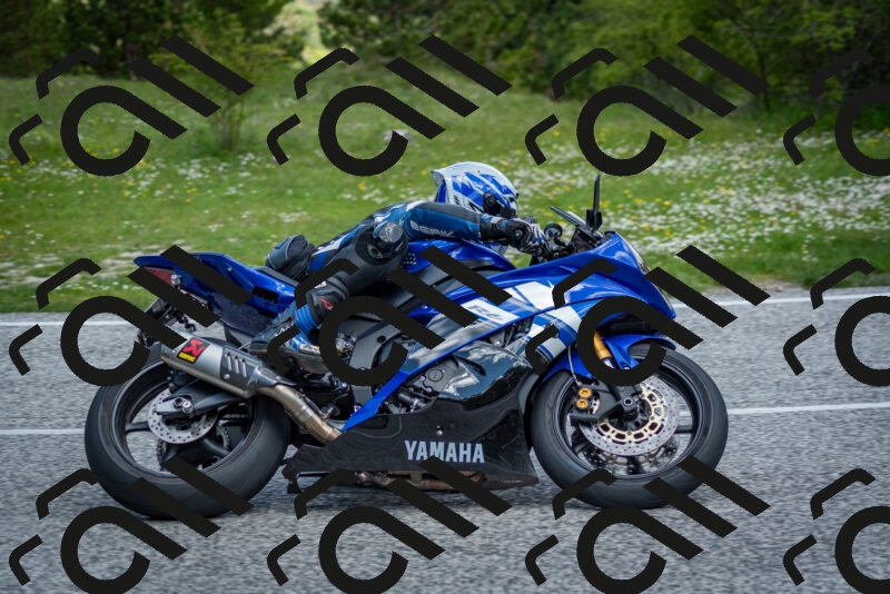 202505181117-DSC_8202_c2