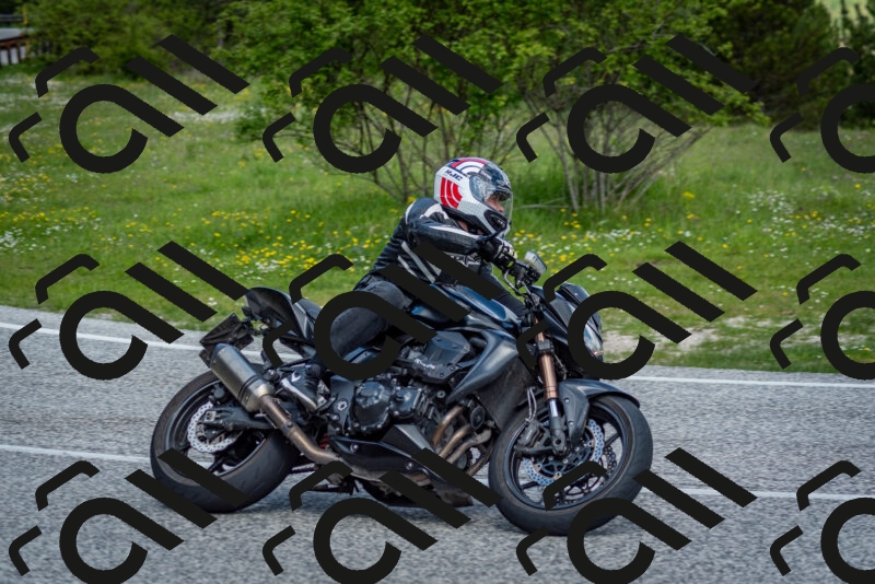 202505181117-DSC_8205_c2