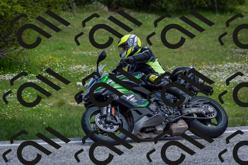 202505181118-DSC_8208_c2