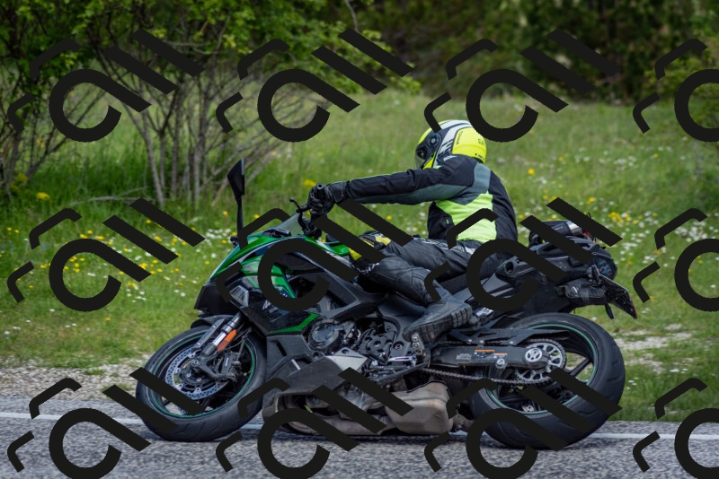 202505181118-DSC_8209_c2