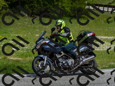 202505181118-DSC_8233_c2