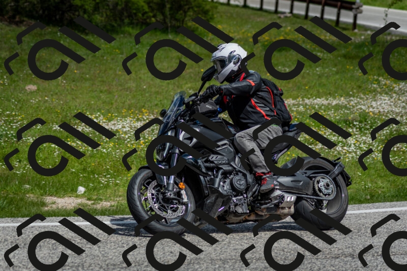 202505181118-DSC_8235_c2