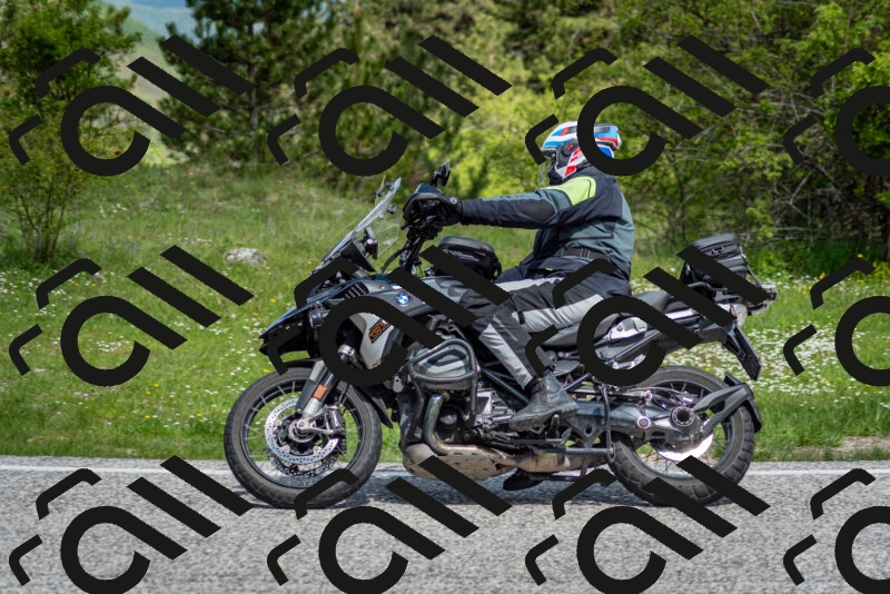 202505181119-DSC_8239_c2