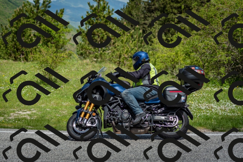 202505181119-DSC_8246_c2