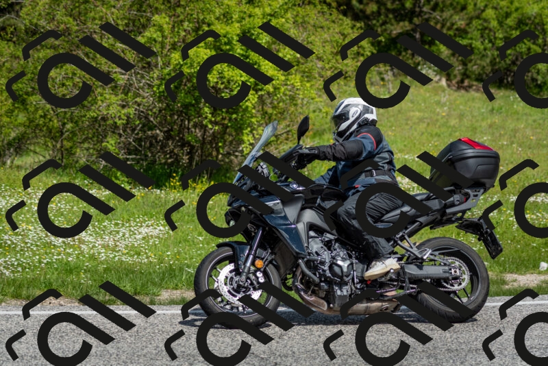 202505181119-DSC_8248_c2