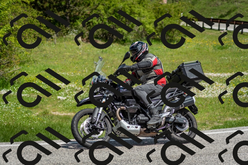 202505181119-DSC_8257_c2