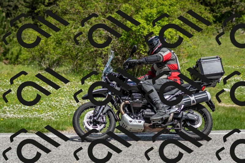 202505181119-DSC_8258_c2