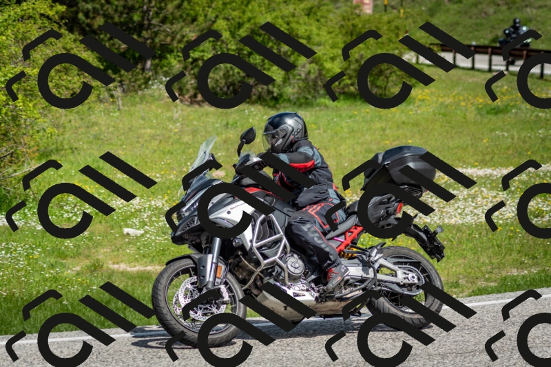 202505181119-DSC_8259_c2