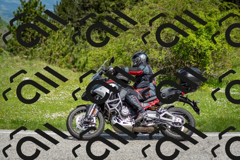 202505181119-DSC_8260_c2