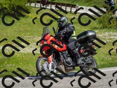 202505181119-DSC_8261_c2