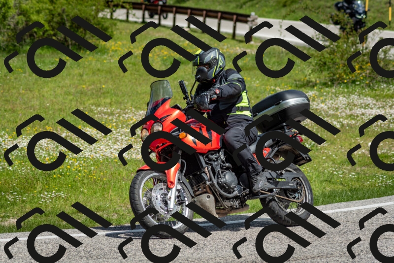 202505181119-DSC_8261_c2