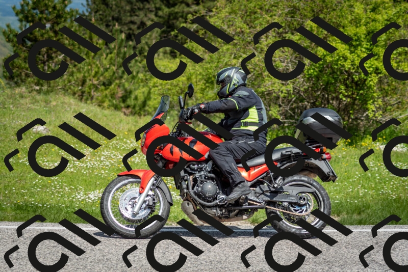 202505181119-DSC_8262_c2